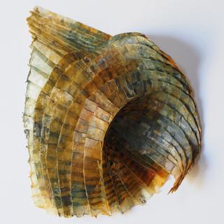 Curved pleat shell. Encaustic on thin lokta, folding. Sold.