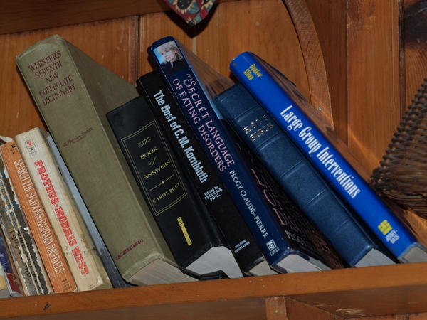 420-bolinasrestaurantbookshelf.jpg